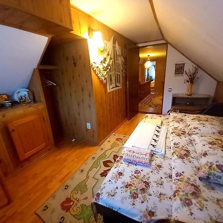 ZărneştiEdelweiss Ilincaアパートメント エクステリア 写真