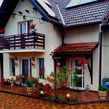 ZărneştiEdelweiss Ilincaアパートメント エクステリア 写真