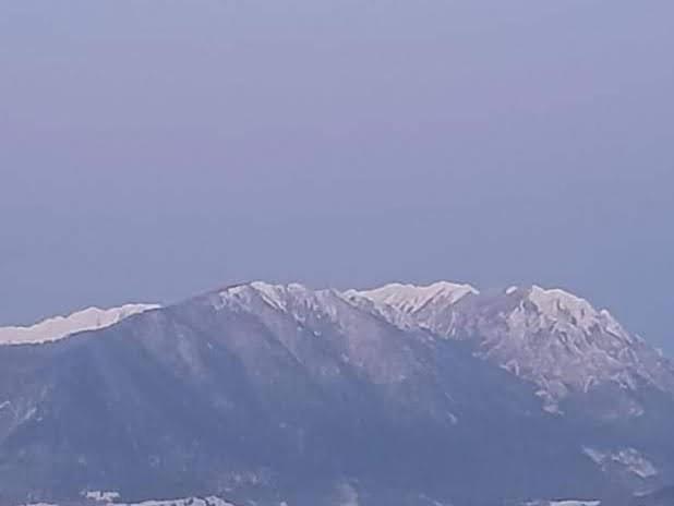 ZărneştiEdelweiss Ilincaアパートメント エクステリア 写真