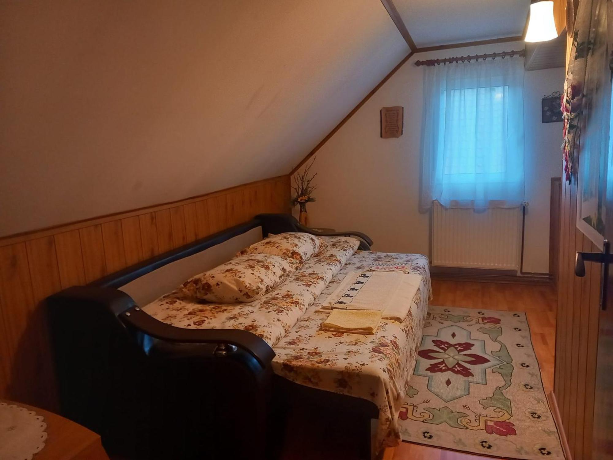 ZărneştiEdelweiss Ilincaアパートメント エクステリア 写真