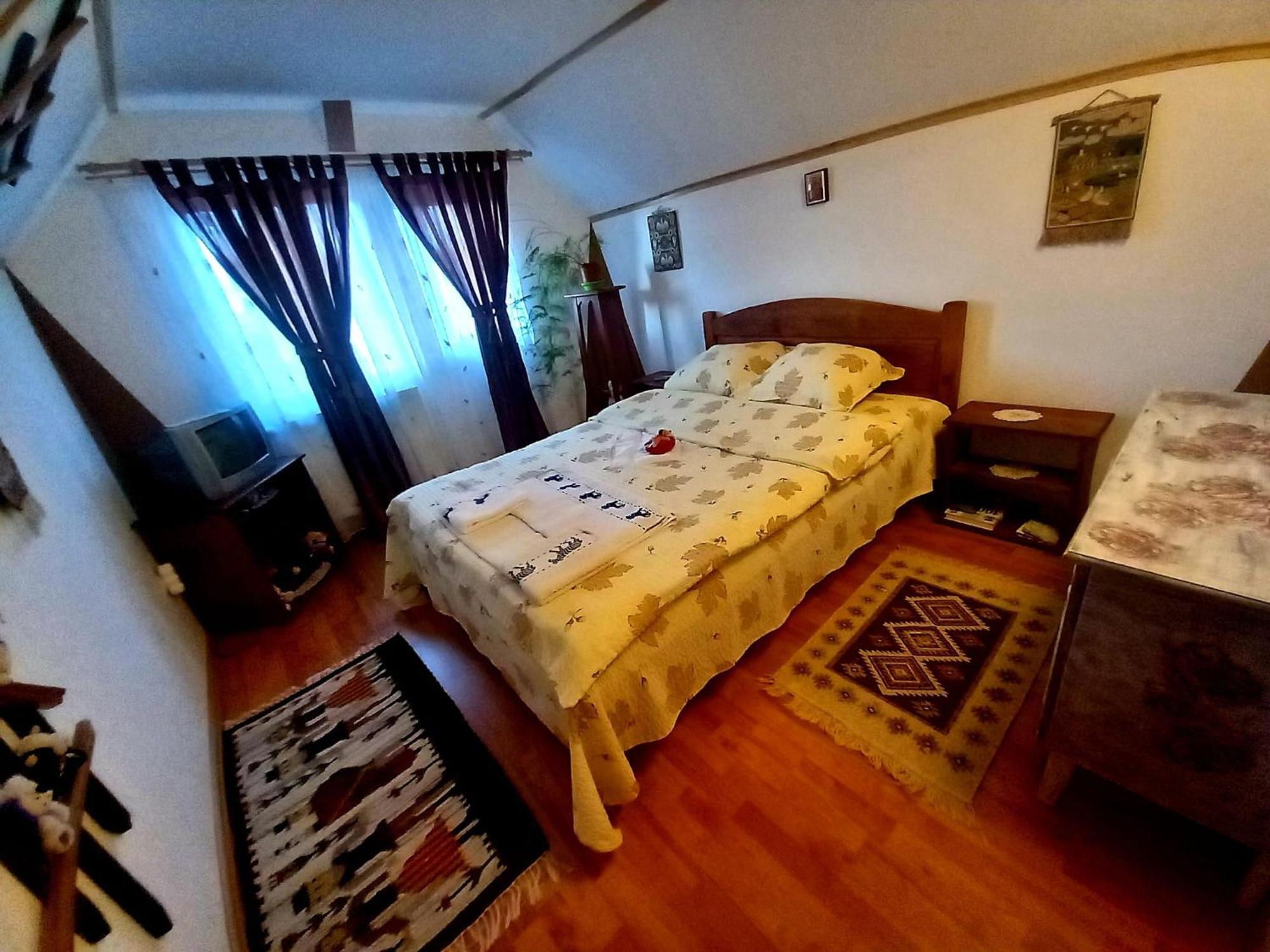 ZărneştiEdelweiss Ilincaアパートメント エクステリア 写真