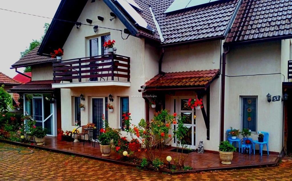 ZărneştiEdelweiss Ilincaアパートメント エクステリア 写真