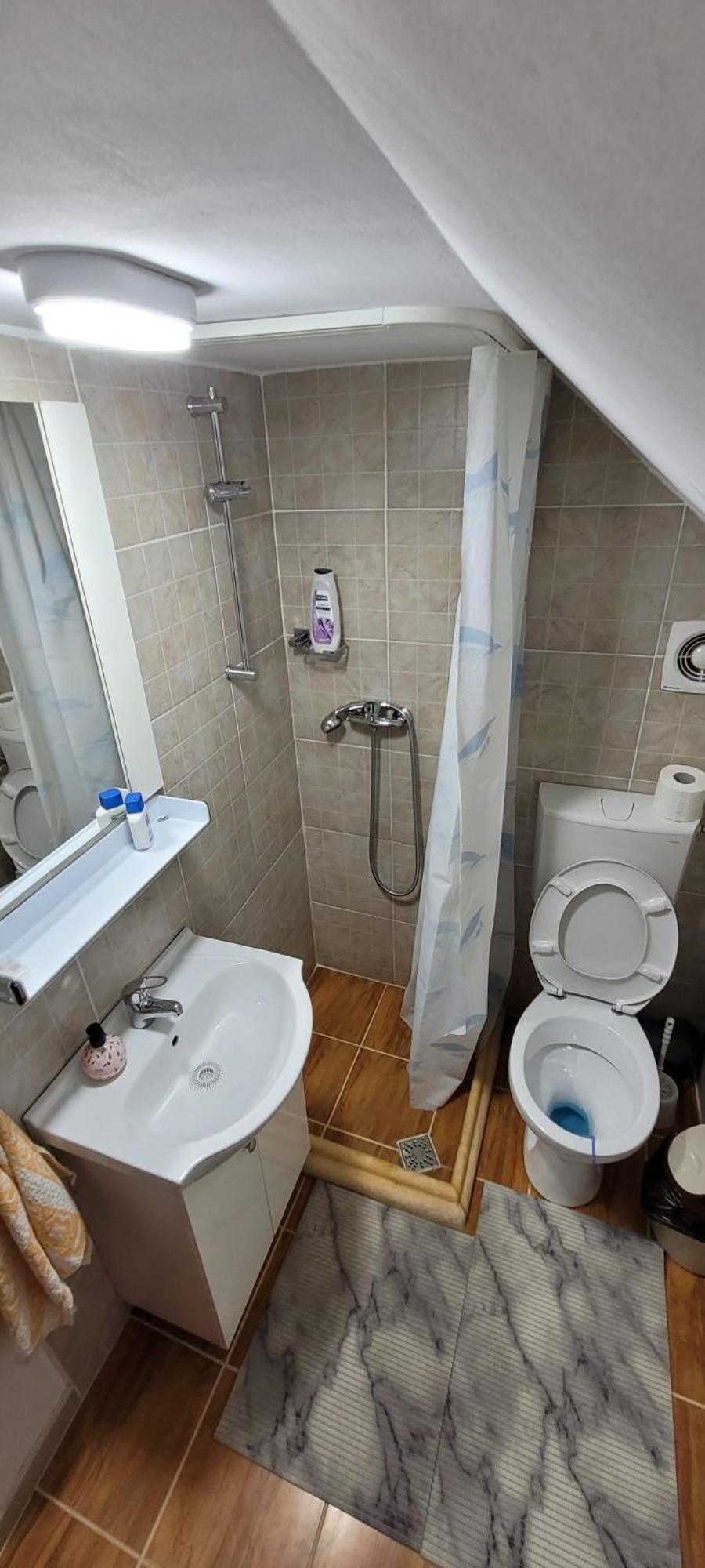 ZărneştiEdelweiss Ilincaアパートメント エクステリア 写真