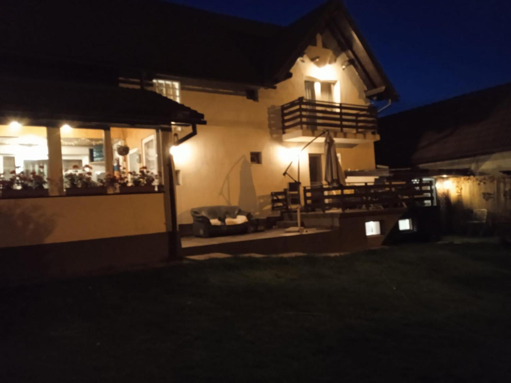 ZărneştiEdelweiss Ilincaアパートメント エクステリア 写真