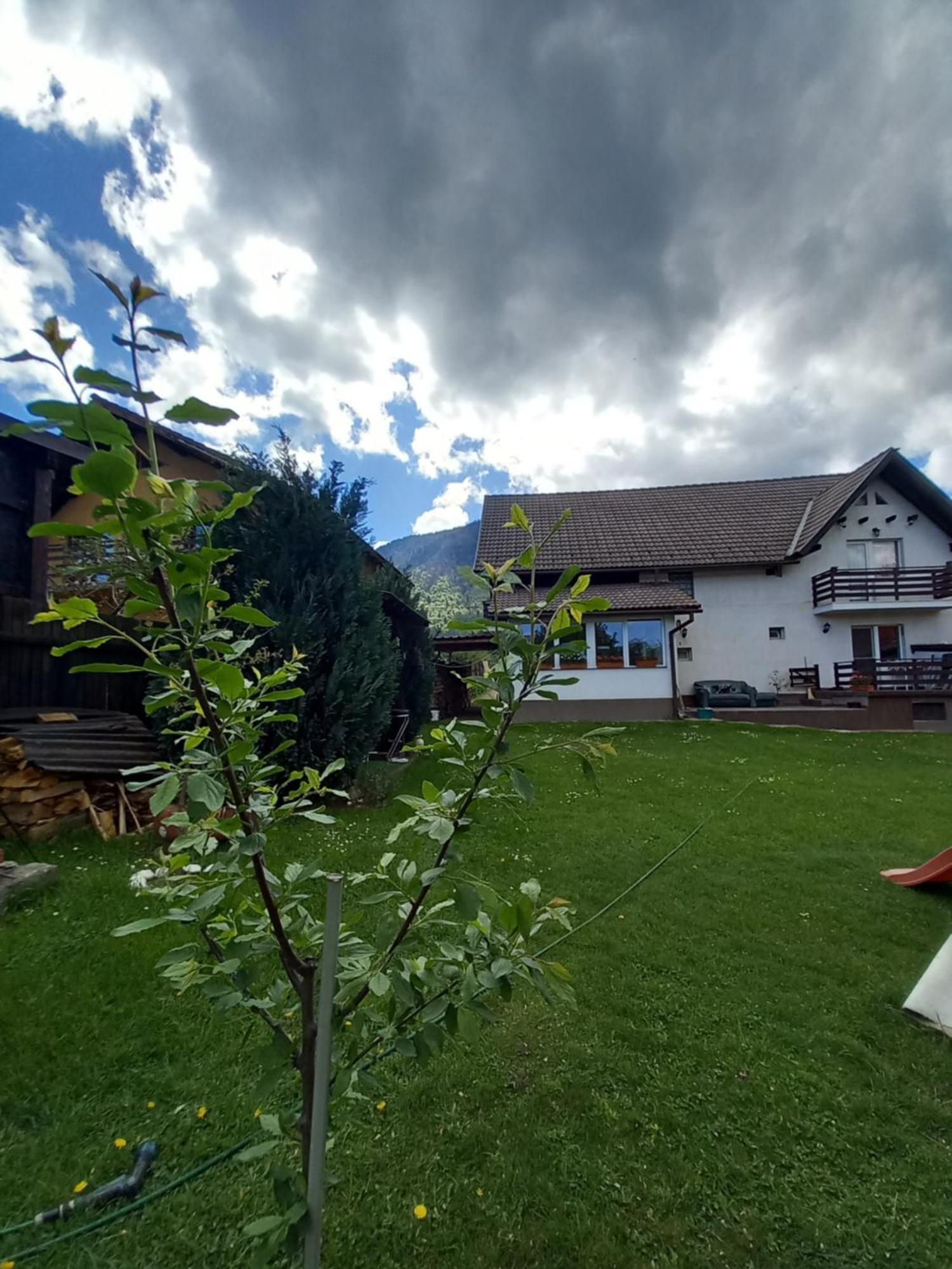 ZărneştiEdelweiss Ilincaアパートメント エクステリア 写真
