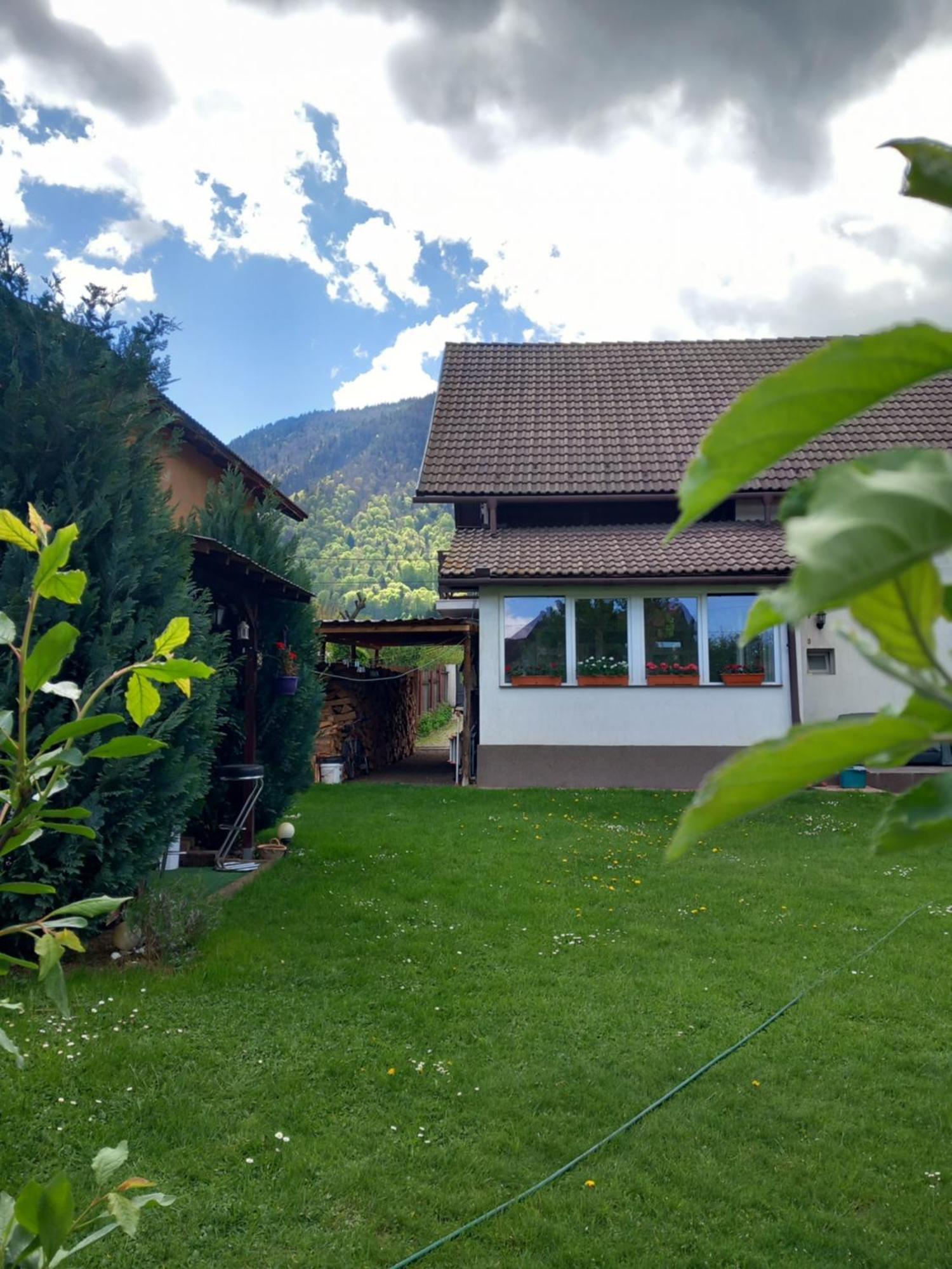 ZărneştiEdelweiss Ilincaアパートメント エクステリア 写真