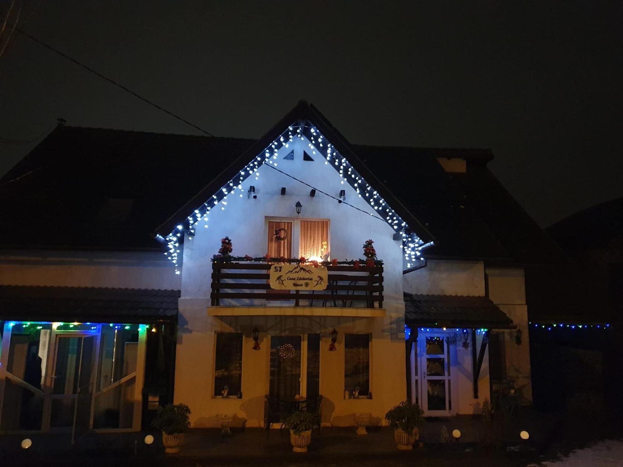 ZărneştiEdelweiss Ilincaアパートメント エクステリア 写真