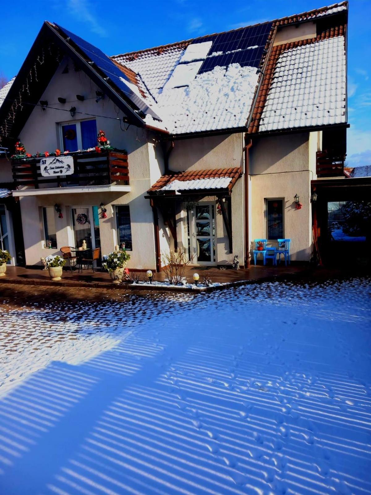 ZărneştiEdelweiss Ilincaアパートメント エクステリア 写真