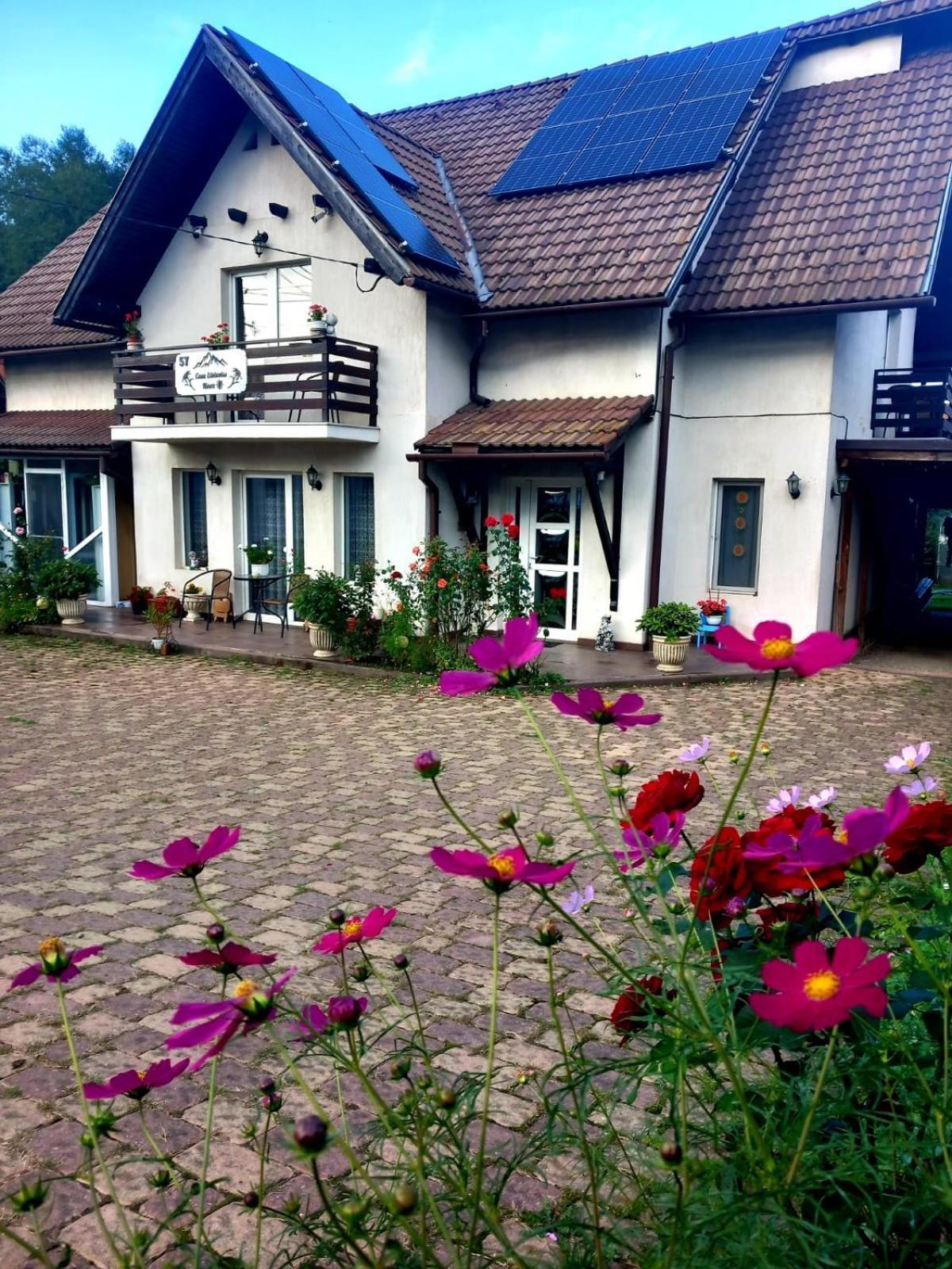 ZărneştiEdelweiss Ilincaアパートメント エクステリア 写真